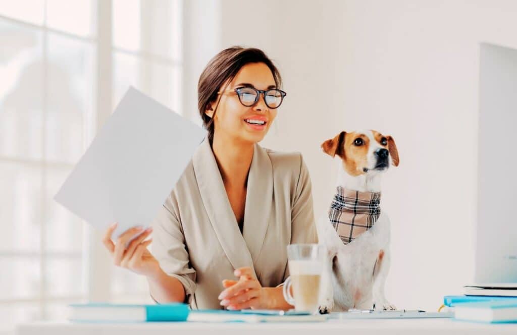 Pet Niche Blogger lady working in office space with dog. Keep reading to know How Much to Charge for a Blog Post