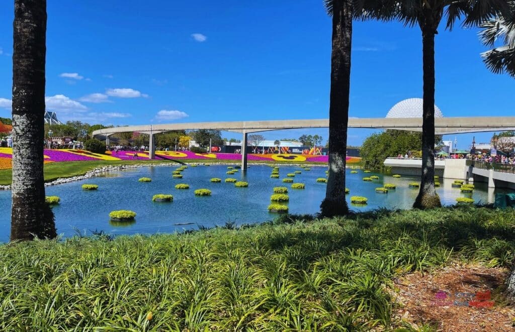 Epcot Flower and Garden Festival Garden area near monorail overlooking Spaceship Earth. Keep reading to learn how this theme park blogger and Disney blogger makes money.